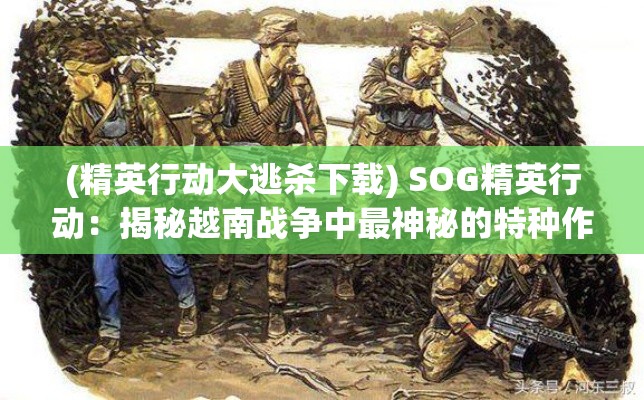 (精英行动大逃杀下载) SOG精英行动：揭秘越南战争中最神秘的特种作战部队的隐秘行动和影响力